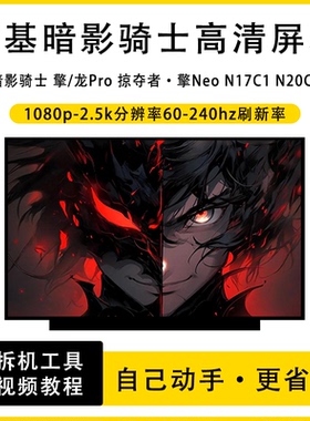 宏基暗影骑士 擎/龙Pro 掠夺者·擎Neo N17C1 N20C1笔记本IPS屏幕