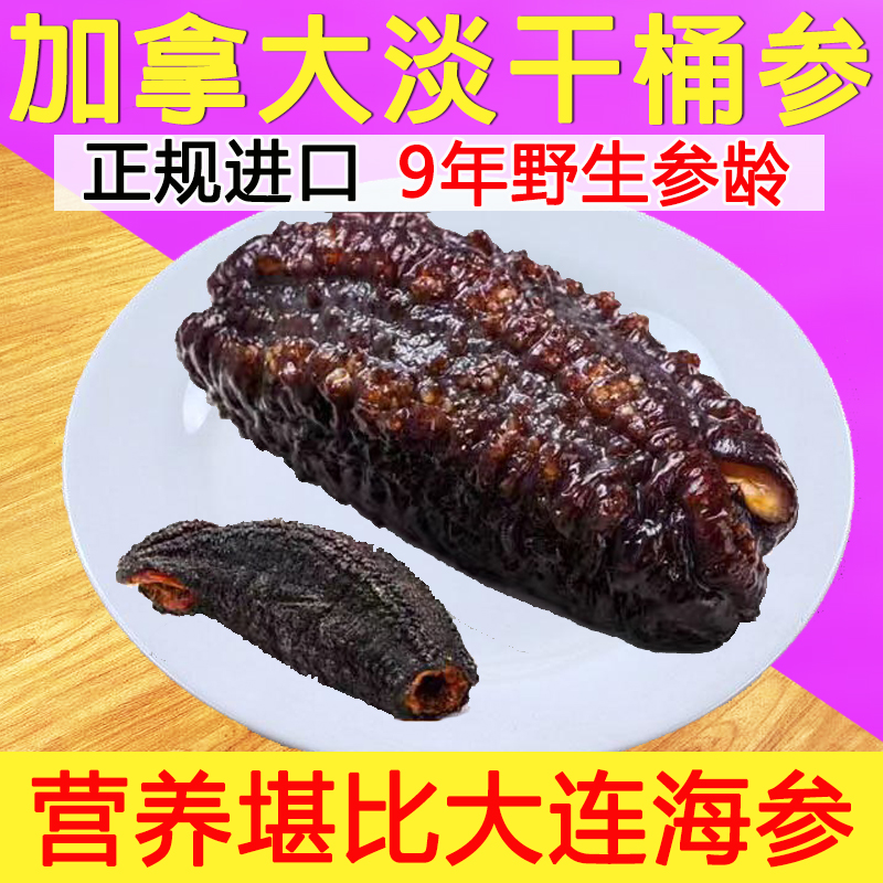 加拿大海参北极参进口海参干货 深海红海参野生454克孕妇淡干海参