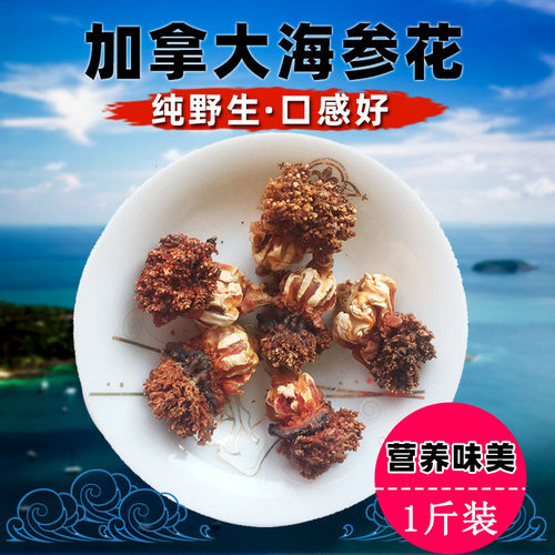 淡干加拿大海参花500g干货
