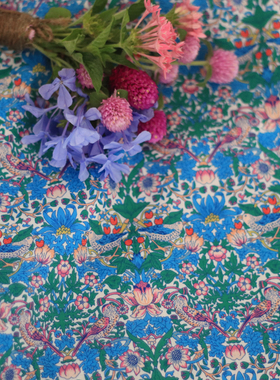 经典草莓小偷 80支全棉平替LIBERT长绒棉数码印花布料面料女服装