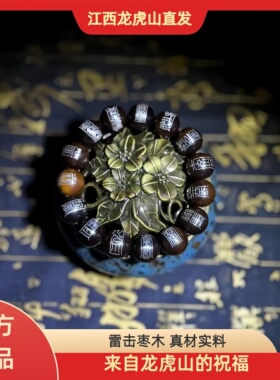 雷击枣木玉化料雷祖15符木制手串