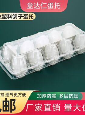 厂家直销塑料鸽子蛋托盒达仁加厚