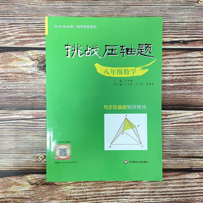 2025挑战压轴题 数学 八年级上下册 初中同步系列中考压轴题数学复习资料教辅书籍精讲精练 华东师范大学出版社