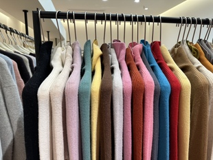 打底衫 首单直降 打底神器100%羊毛细腻亲肤贝壳扣显瘦弹力针织衫