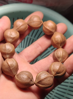 橄榄核短圆原料 全品 精品光珠核 黑榄原核 素核手串正圆核雕原籽