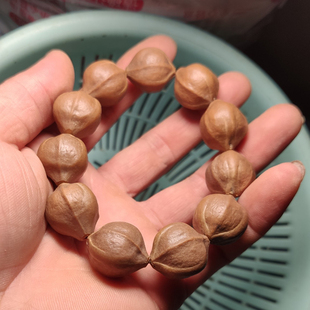 橄榄核短圆原料 全品 精品光珠核 黑榄原核 素核手串正圆核雕原籽