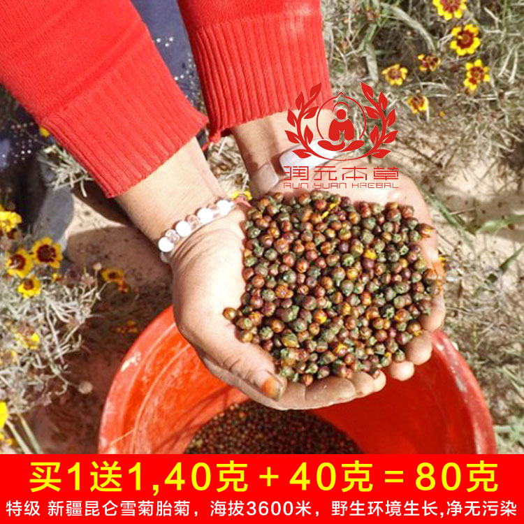 買1送1新疆野生昆侖雪菊胎菊王特級天山血菊潤元本草菊花茶包郵