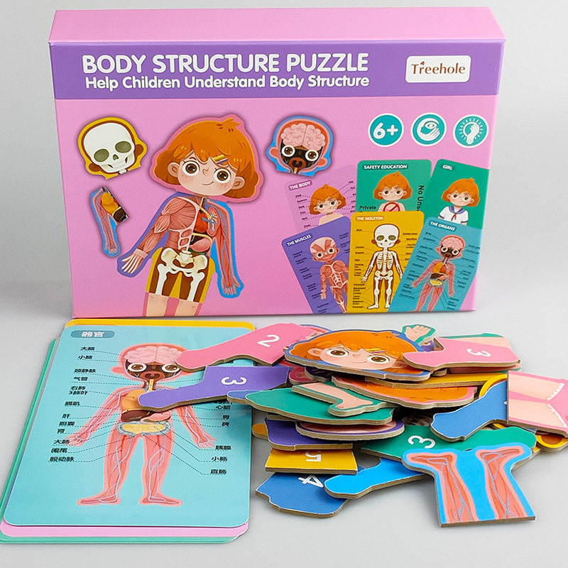 儿童认知男女孩人体身体结构拼图器官图片幼儿园教具早教益智玩具