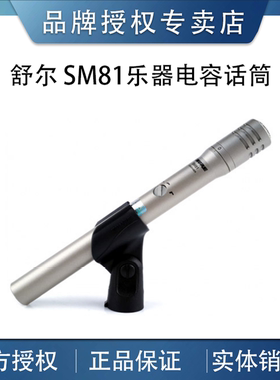 SM81麦克风管弦乐器电容话筒
