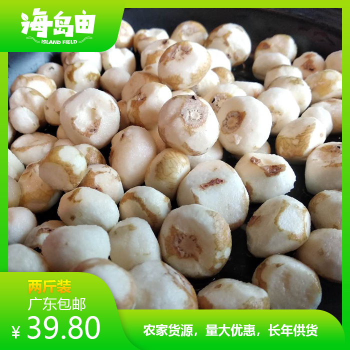海岛田新鲜珍珠马蹄野生小马蹄荸荠椰子鸡火锅特色蔬菜自产自销糯
