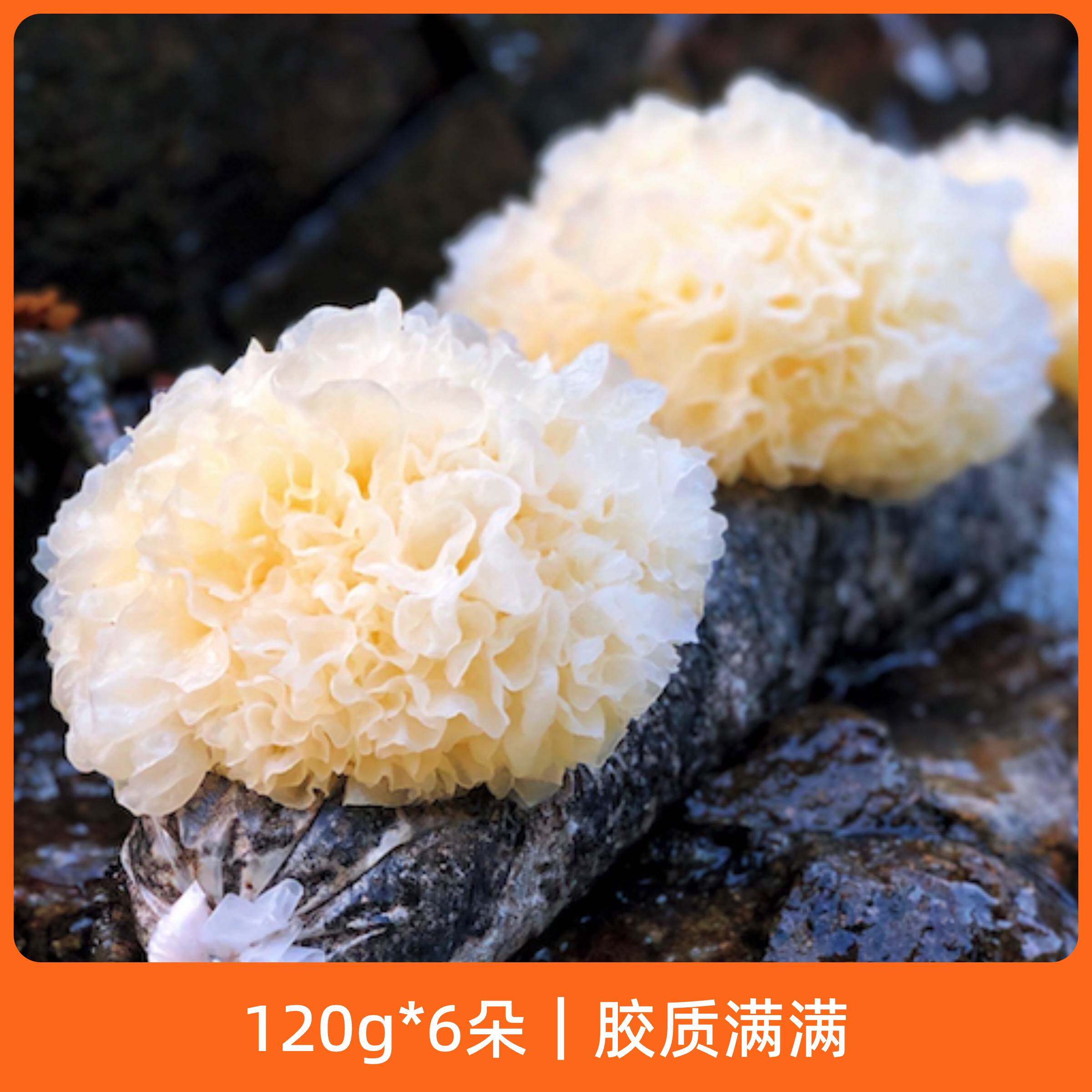 古田高山新鲜银耳6朵盒装 活鲜白木耳糯丑耳雪耳非干货银耳莲子羹