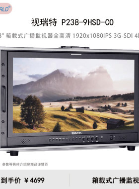 视瑞特（SEETEC）P238-9HSD-CO 23.8
