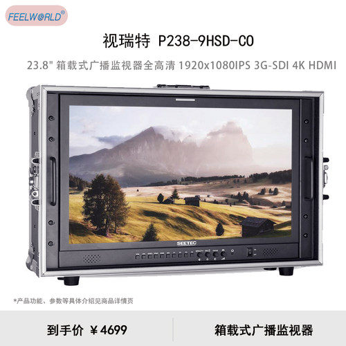 视瑞特（SEETEC）P238-9HSD-CO 23.8