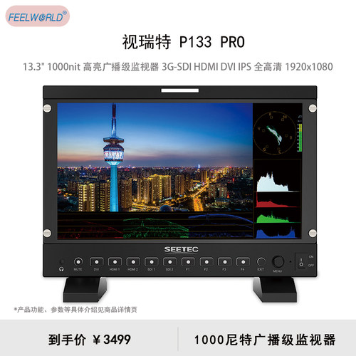 视瑞特（SEETEC）P133 PRO 13.3