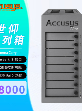 ACCUSYS/世仰 Gamma Carry 8盘位移动便携式现场DIT设计 后期制作 雷电3存储阵列系统 不含硬盘
