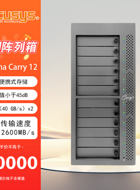 ACCUSYS/世仰 Gamma Carry 12盘位 移动便携后期制作雷电3存储阵列系统