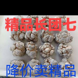 正宗文山特产田三七滑头带帽30头10头15头20头狮子头直播打粉整个