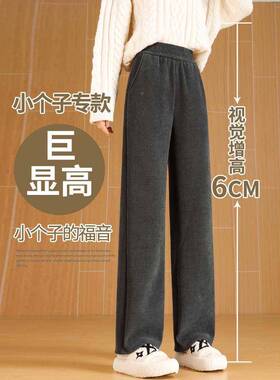 CA显N灰色芯绒裤子JDR绒女冬2025加新款爆款小个秋子高加窄厚灯版