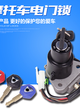 适用雅马哈FZR250/400海豚TZR250 TZM150 TZR125TDR125电门锁开关