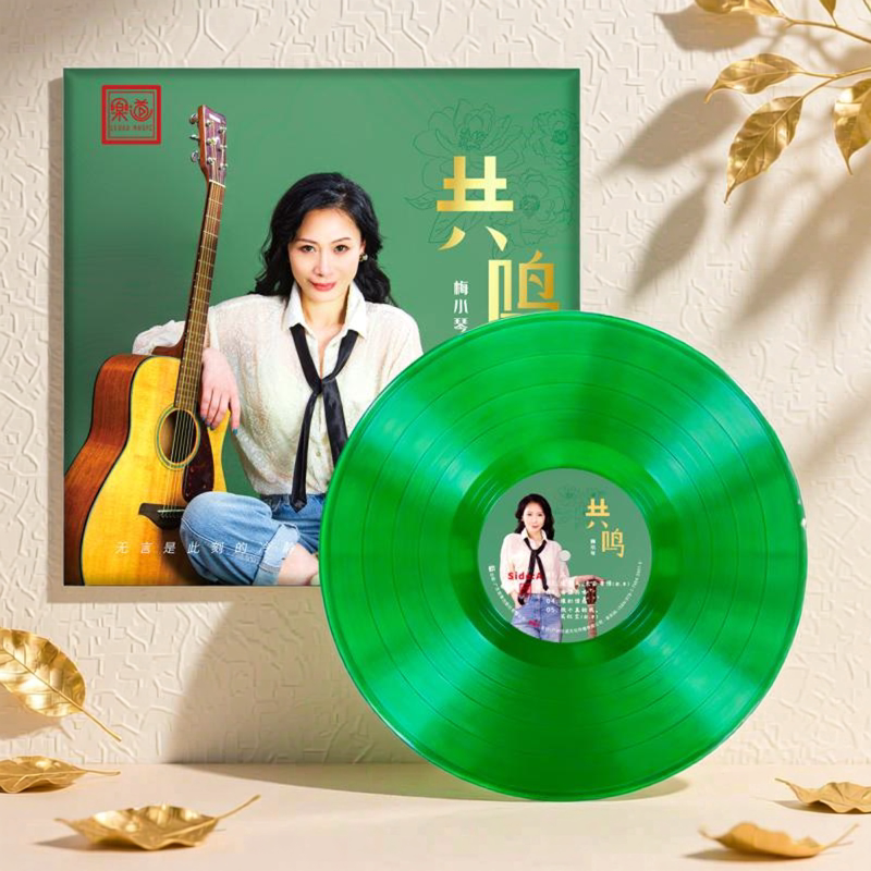 正版梅小琴《共鸣》绿胶 LP 人声发烧黑胶唱片大碟 老虎鱼母带