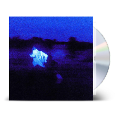 现货 丹尼尔·凯撒Daniel Caesar专辑 Never Enough CD+歌词本