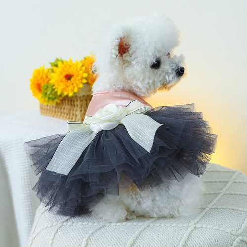 狗狗衣服薄款裙子可牵引春夏猫咪