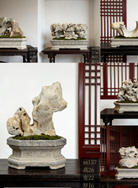 天然太湖石原石盆景附石造景精品奇石室内摆件假山石头