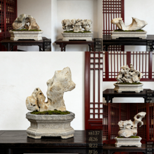 天然太湖石原石盆景附石造景精品奇石室内摆件假山石头