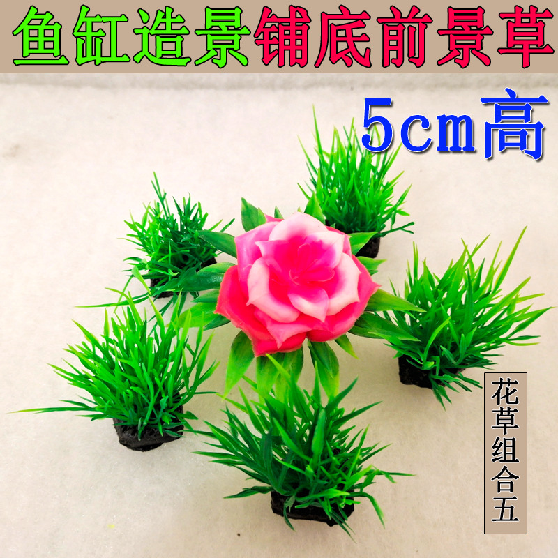 高5cm小鱼缸造景底部组合套餐