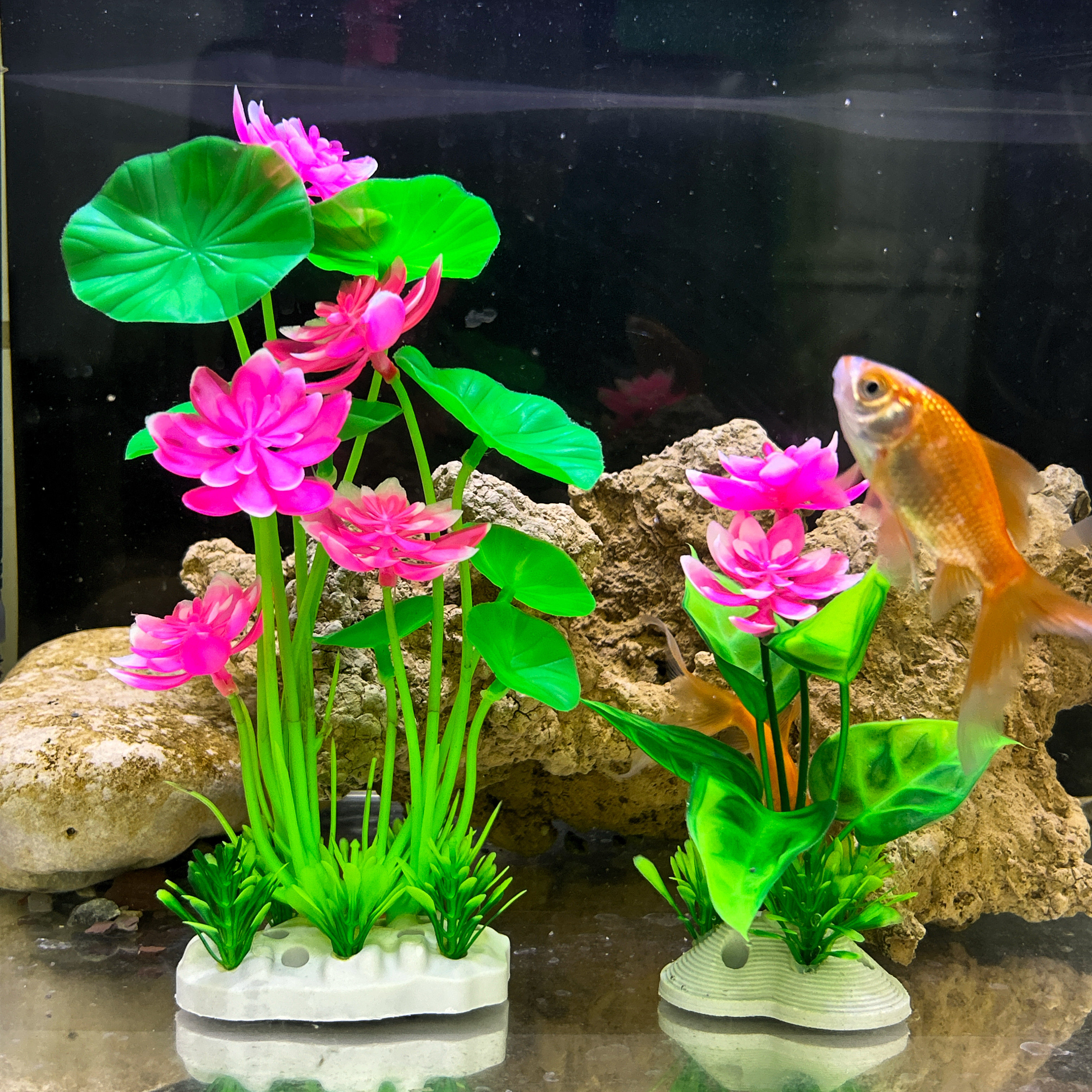 鱼缸仿真水草造景植物摆件鱼缸装饰仿真荷花塑料水草假草套餐
