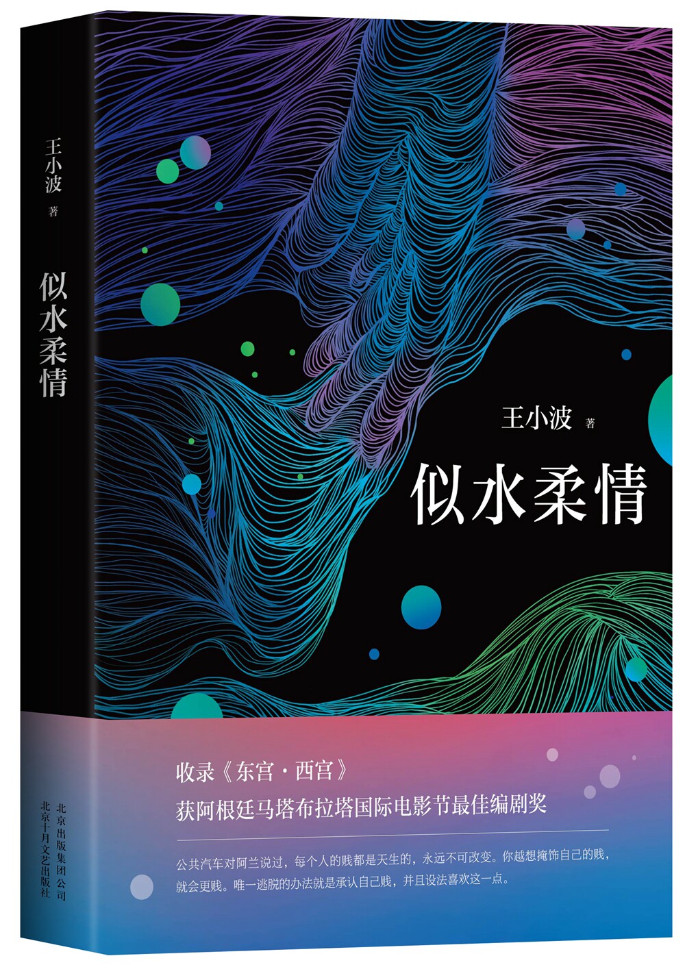 **王小波作品:似水柔情 (王小波 著 十月文艺)