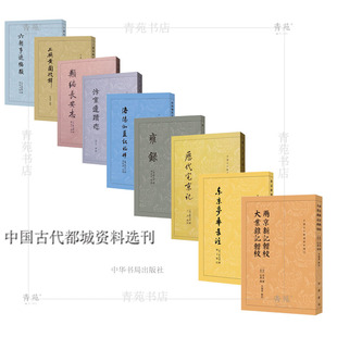 (自选系列)中国古代都城资料选刊:六朝事迹编类 .洛阳伽蓝记校释.汴京遗迹志.类编长安志.三辅黄图校释.雍录 等 中华书局