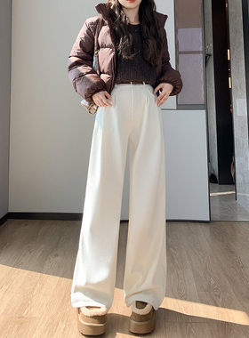 阔腿裤子女秋冬2024新款高腰窄版直筒高级感垂感欧棉绒西装裤H636