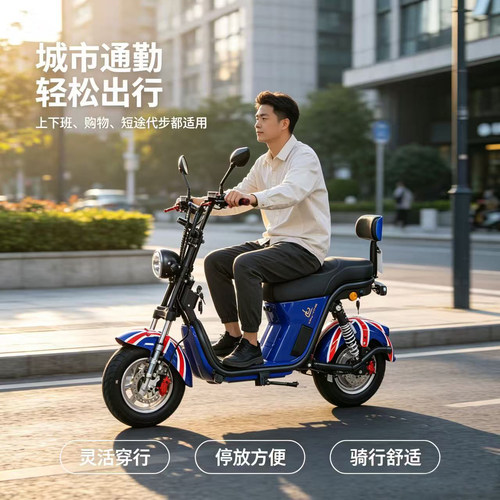 哈雷双轮电动滑板大轮胎代步
