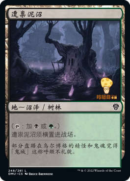 遭崇泥沼Haunted Mire万智牌MTG多明纳里亚DMU248中文平