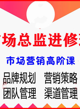 市场总监营销销售经理进修课程企业管理战略策划品牌策略视频 187