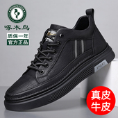 2025冬季 新款 真皮软底加绒休闲潮流百搭运动皮鞋 啄木鸟男鞋 男板鞋