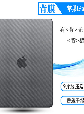 适用苹果iPad 9代后膜9th Gen半透明贴纸WiFi磨砂A2603平板后壳膜