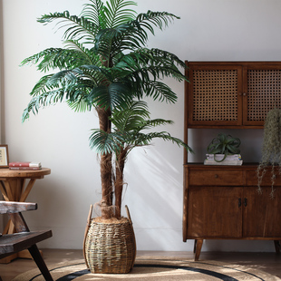 仿真棕毛葵大型绿植盆栽北欧风店铺橱窗落地假树装饰热带植物造景