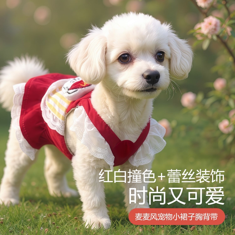 狗狗牵引绳狗链子中小型犬遛狗绳子背心式泰迪柯基宠物胸背带裙子