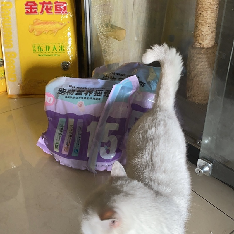 中加得鱼油猫条零食胶成幼猫粮罐头一整箱图片