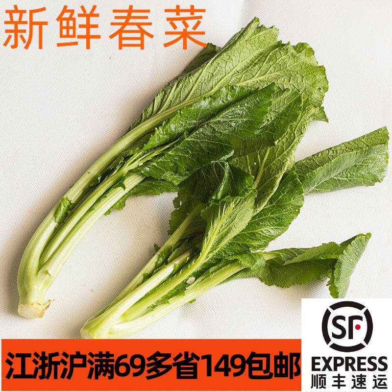 新鲜春菜500g 小芥菜 广东菜 微苦青菜蔬菜上海发货江浙沪隔天到