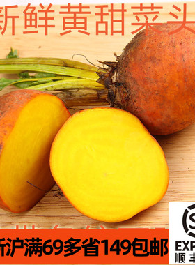 新鲜迷你黄甜菜根甜菜头  yellow beetroot餐饮装饰染色创意食材
