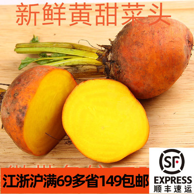 新鲜迷你黄甜菜根餐饮创意食材