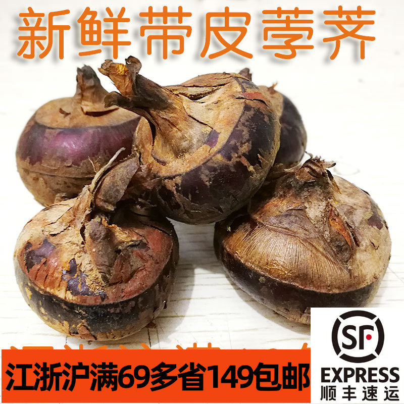 新鲜带皮马蹄500g 荸荠地梨带泥 竹蔗茅根马蹄水配料 生食甜脆