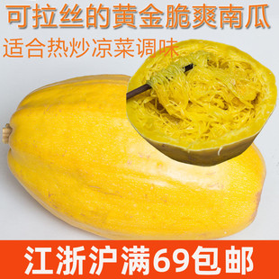 像鱼翅的南瓜  绞丝崇明金瓜南瓜拉丝瓜鱼翅瓜 口感甜脆创意食材