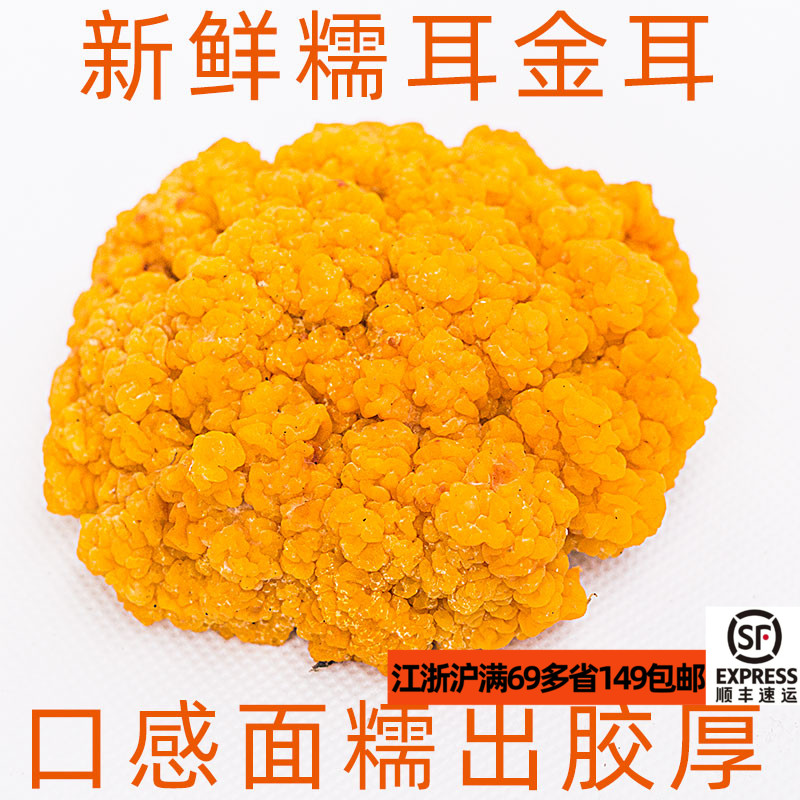 胶质厚实 新鲜食用黄金耳菌500g 银耳黄耳菌菇菌类煲汤甜点食材 水产肉类/新鲜蔬果/熟食 新鲜松茸/菌菇 原图主图