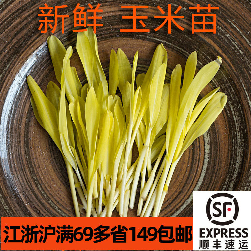 新鲜盒装可食用芽苗玉米苗 酒店西餐烘焙装饰点缀芽苗菜嫩草图片