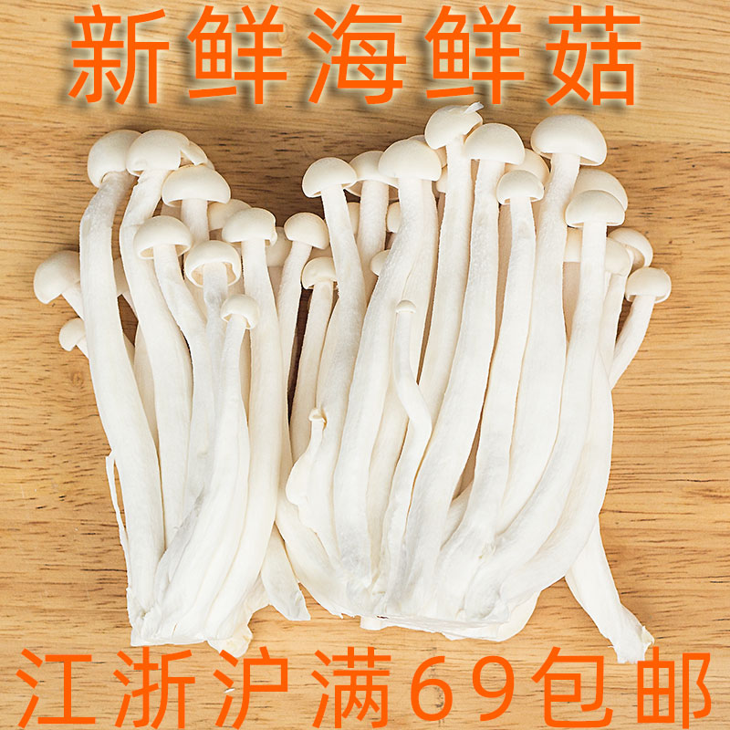 新鲜250g半斤mushroom家常海鲜菇