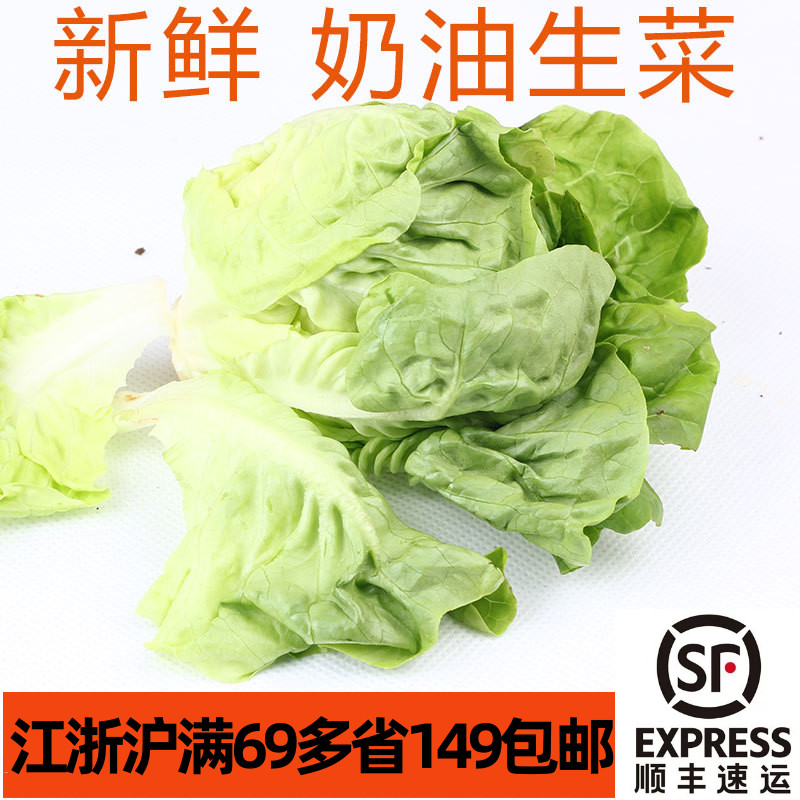 新鲜奶油生菜沙拉蔬菜